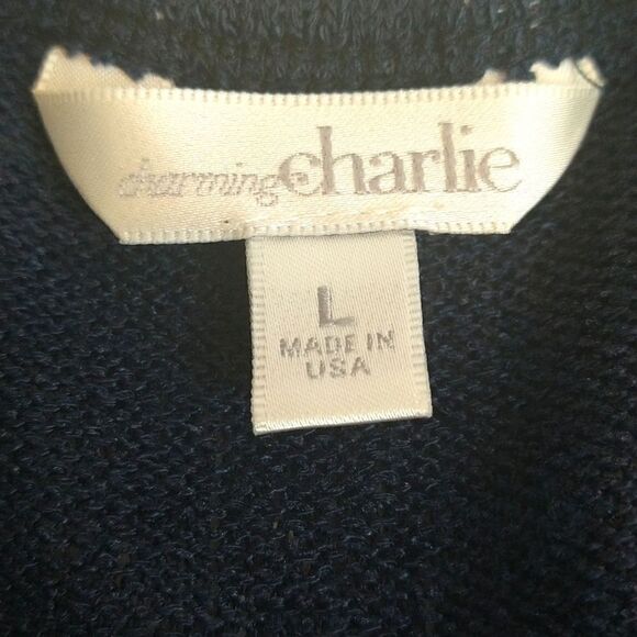 Charming Charlie knit blue long sleeve sweater with crochet and keyhole back Y2K - Picture 7 of 9